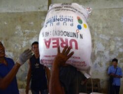 Kemenkop Berencana Ubah Status Gapoktan Jadi Koperasi, Untuk Salurkan Pupuk Bersubsidi