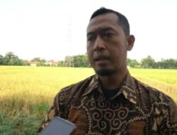 Perum Bulog Cabang Pati Pastikan Harga Pembelian Pemerintah (HPP) Rp 6.500 Per Kg Untuk Gabah Kering Panen (GKP).