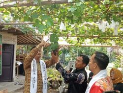 Resmikan Pusat Edukasi Wisata Dan Ketahanan Pangan di desa Janti : Bupati Klaten Berikan Apresiasi