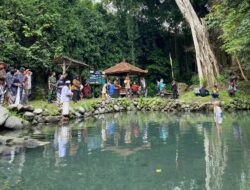 Pesona Dawetan Umbul Kroman Mranggen Jatinom : Lestarikan Alam Dan Ungkap Rahasia Kecantikan Alami