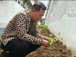 Kalapas Klaten Bersama Jajaran Gelar Kegiatan Penanaman Bibit Sayur di Lapas Klaten