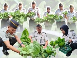Dukung Ketahanan Pangan Nasional :  Lapas Klaten Panen Sayuran Segar, Hasil Pembinaan Warga Binaan